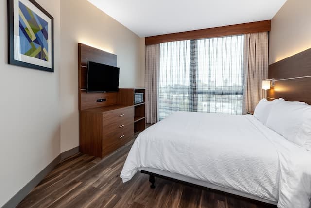 홀리데이 인 익스프레스 NYC 브루클린 - 선셋 파크 바이 IHG-스탠다드룸-4