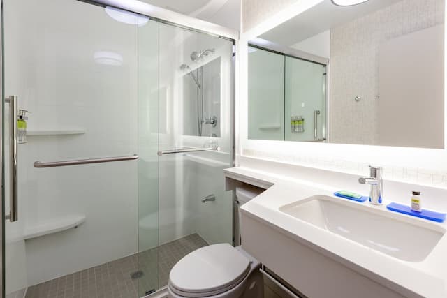 홀리데이 인 익스프레스 NYC 브루클린 - 선셋 파크 바이 IHG-스탠다드룸, 킹사이즈침대 1개-1