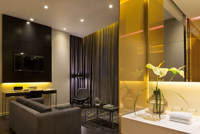 art'otel Amsterdam powered by Radisson Hotels-小型套房, 1 张特大床 (Art)-8