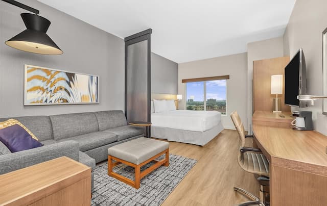 Hyatt Place Houston Medical Center-Room, 1 King Bed with Sofa bed-3