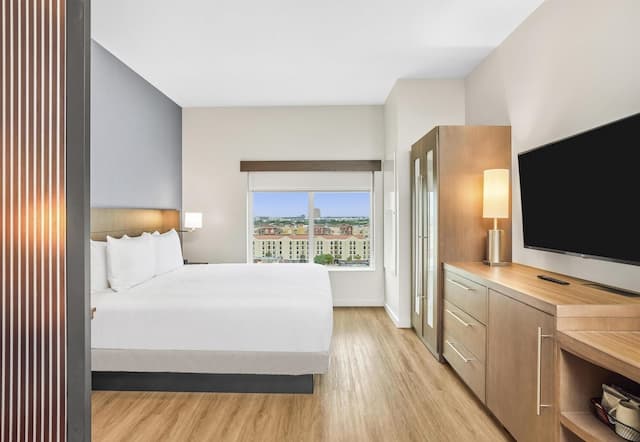 Hyatt Place Houston Medical Center-Room, 1 King Bed with Sofa bed-1