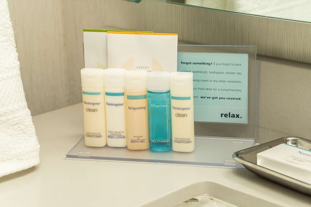 ハンプトン イン サンフランシスコ ダウンタウン / コンベンション センター-ルーム キングベッド 1 台 バリアフリー 浴槽-19