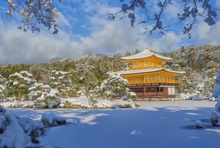 【京都一日遊】金閣寺・嵐山・伏見稻荷大社・奈良公園|英文導遊|可選擇大阪、京都出發|1人成行-7
