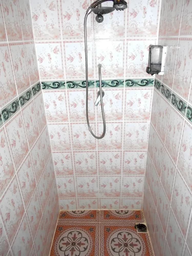 Bathroom shower