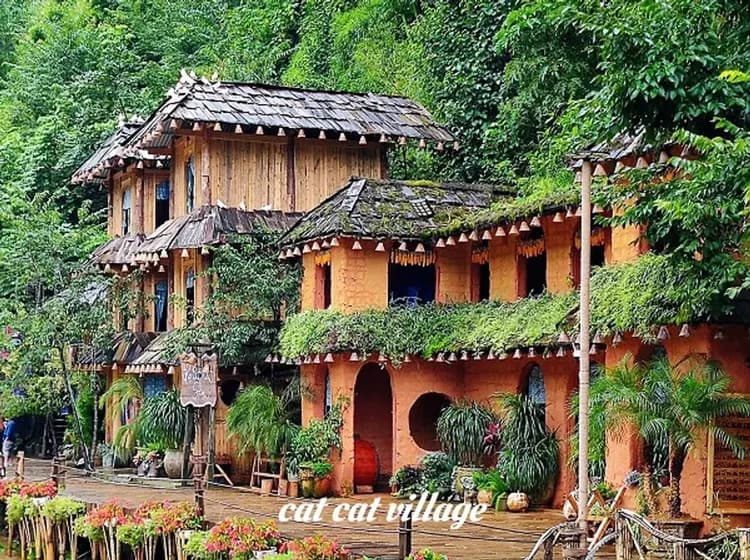 貓貓村cat cat village