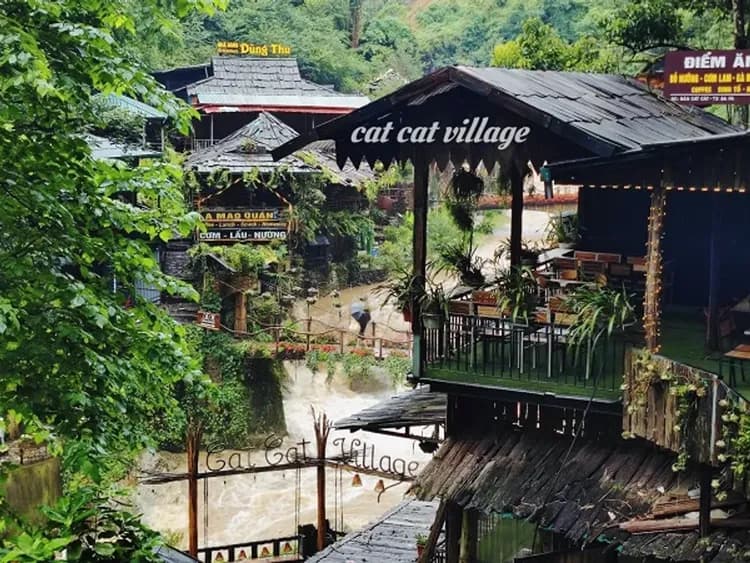 cat cat village