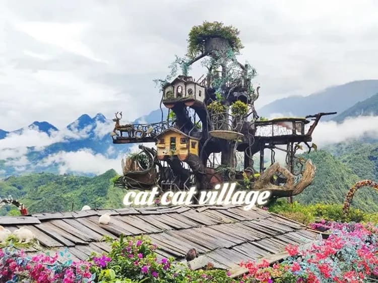 cat cat village