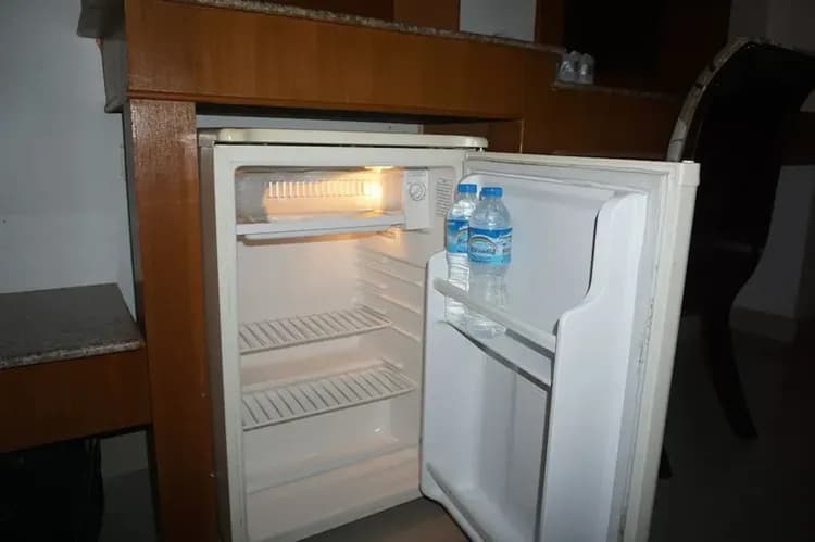 Mini-refrigerator