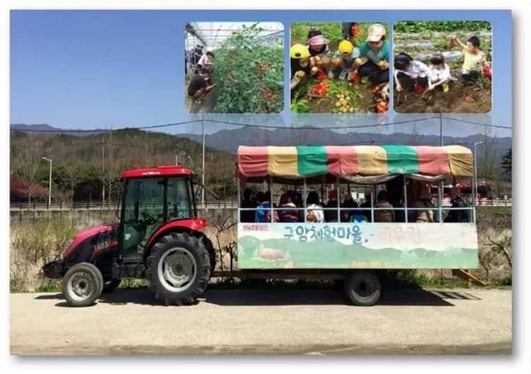 龜岩農村體驗(乘拖拉機、採水果或農作物)