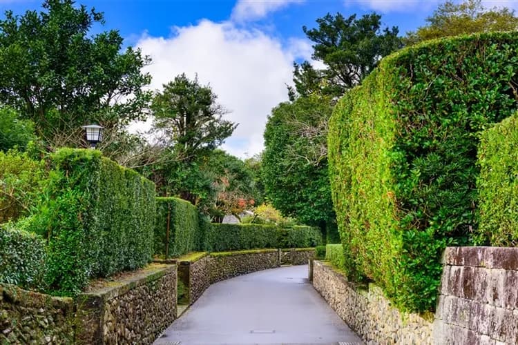 省最大|南九州山幸海幸觀光列車.鵜戶神宮.仙巖園品嘗兩棒餅.飫肥城.釜蓋神社.指宿砂浴體驗五日-10