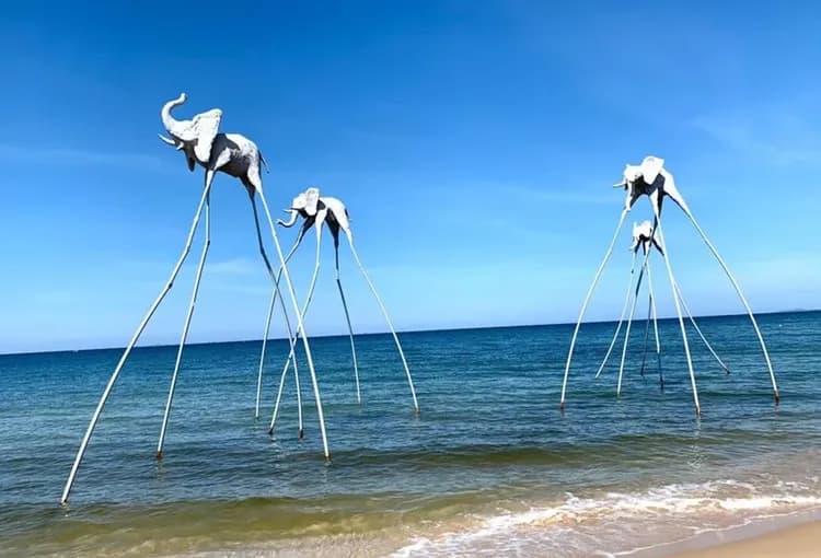 異型沙灘(椰子一顆)