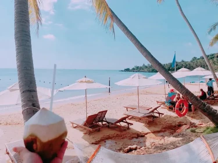 異型沙灘(椰子一顆)