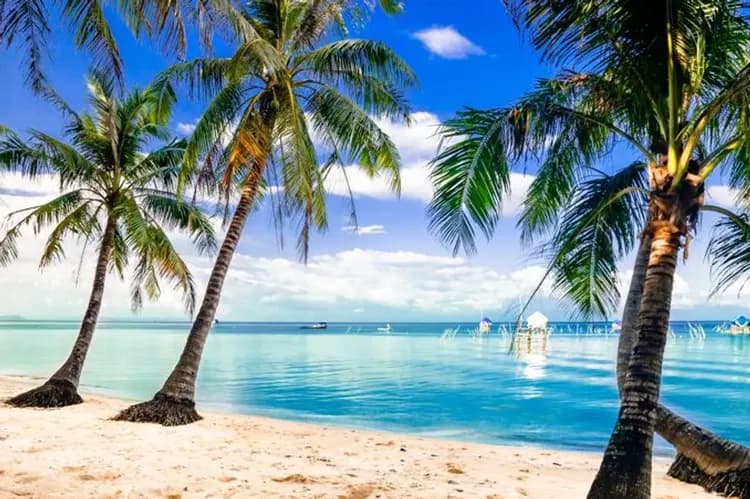 愛戀富國島~胡志明閒情趣、珍珠雙樂園、跳島海景纜車、五星海景渡假村五日-7