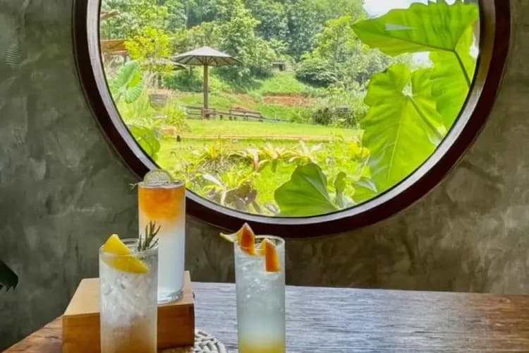 大象網美咖啡廳(含飲料一杯+餵食大象點心)