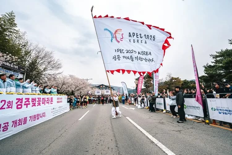 【2026慶州櫻花馬拉松】參賽權+超值精選4晚住宿-9
