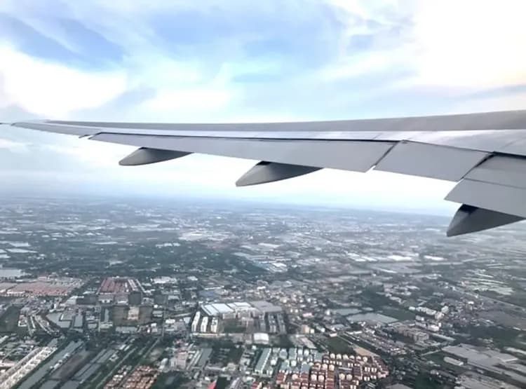 樂愛曼芭~大城動物園、古都歐風咖啡廳、漫遊暹羅商圈、芭達雅海天盛宴五日-7