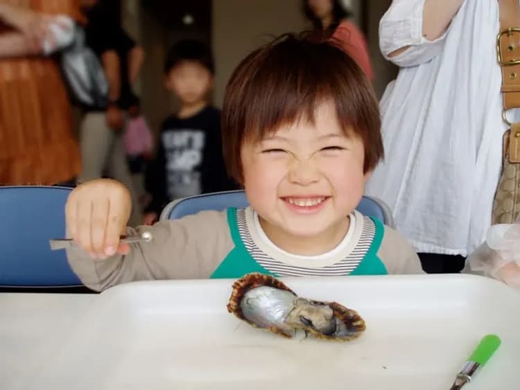 日本百景九十九島(遊覽船+水族館+挖珍珠)