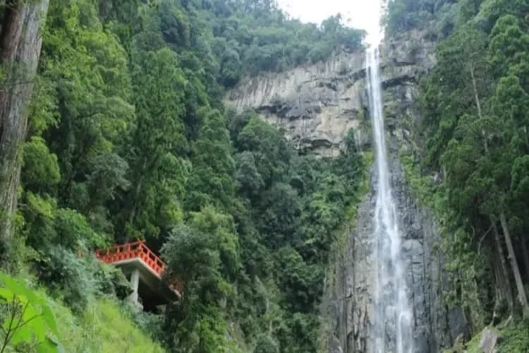 南紀物語~和歌山電鐵、南紀海岸秘境、伊勢志摩旅行、宇治茶香溫泉五日-6
