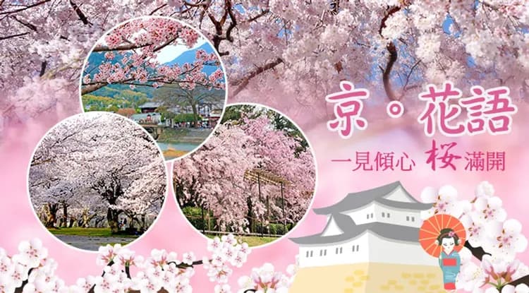春櫻關西|全程無自費餐|祇園枝垂櫻.醍醐寺.櫻花隧道.宇治平等院.平安神宮.古都和服體驗五日|美食饗宴-7