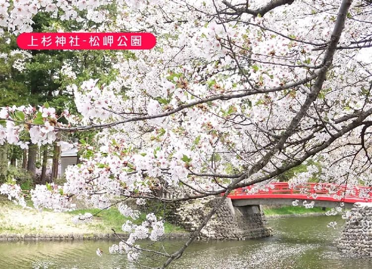 虎漫遊東北雙溫泉5日.銀山溫泉.松島遊船.藏王狐狸村.會津鐵道列車.夢幻五色沼.大內宿古街.米澤牛料理.手作紅牛彩繪-7