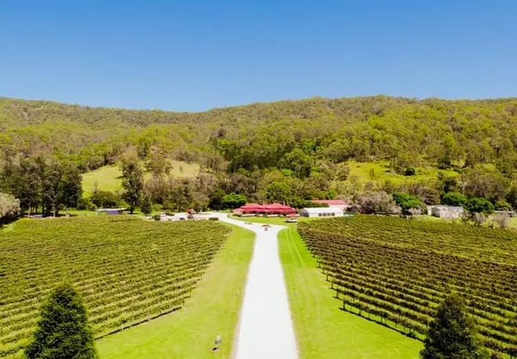 希路美酒莊品酒體驗