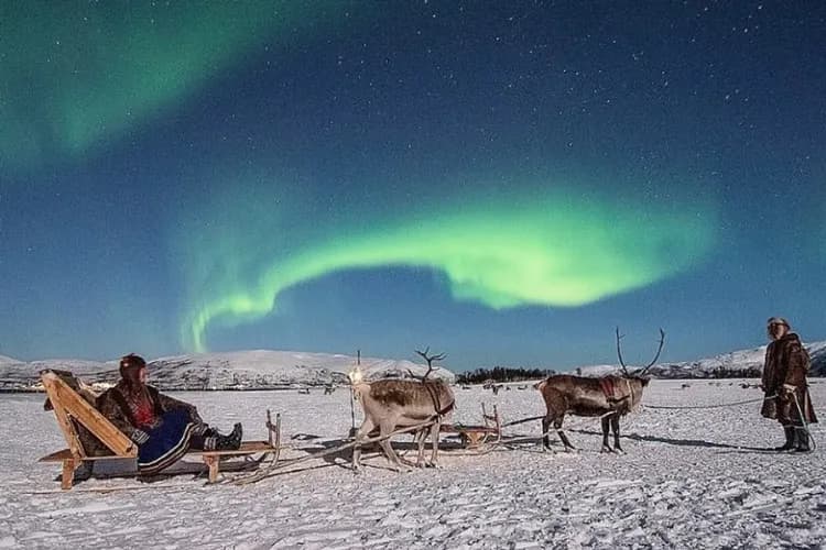 (Photo by Tromso Arctic)-馴鹿雪橇營火晚餐(追極光)