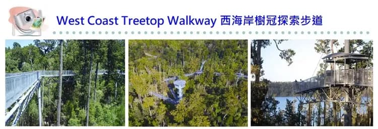 【紐西蘭奇歐拉升級13天】金旅獎.冰河百年旅店.國家公園巡禮-16