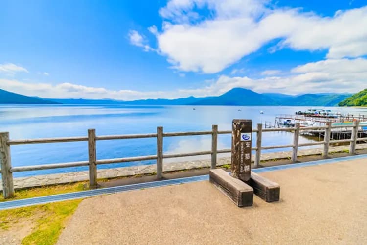 北海道冬之戀~小樽函館山、尼克斯企鵝秀、洞爺湖彩燈節、三大蟹湯泉香五日-5