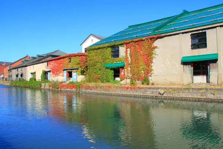 小樽運河旅情(送:北菓樓泡芙)