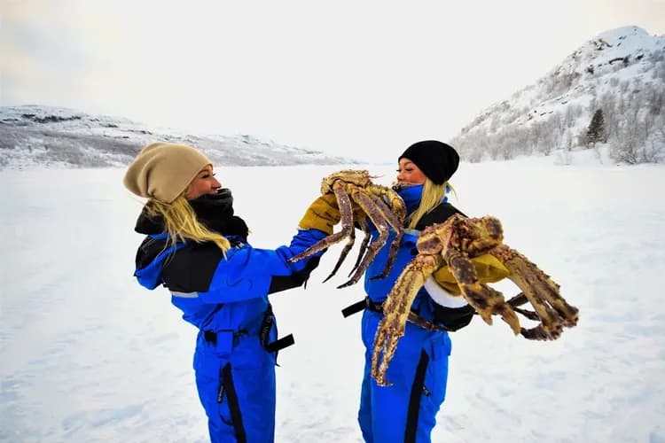 《金馬賀歲》N°RDIC北歐極光旅人 帝王蟹玻璃屋破冰船探險10天-12