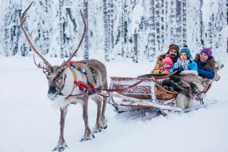 《金馬賀歲》N°RDIC北歐極光旅人 帝王蟹玻璃屋破冰船探險10天-15