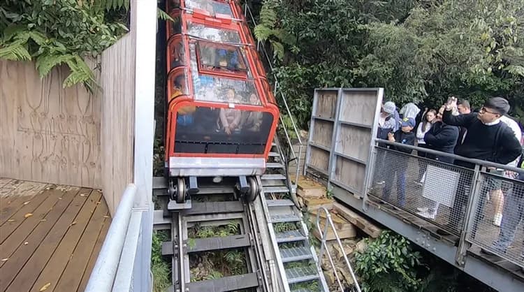 澳洲旅遊|前10名扣三千·大洋路·亞拉河谷酒莊·墨爾本後花園丹頓農·最美動物園·小企鵝歸巢·藍山纜車·雪墨9日-9