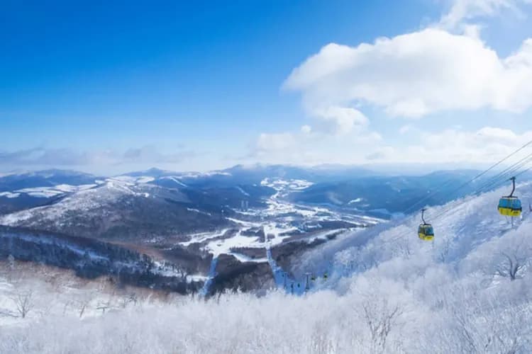 北海道星賓樂~海洋尼克斯、小樽螃蟹會席、星野渡假村、森之庭渡假村五日-7