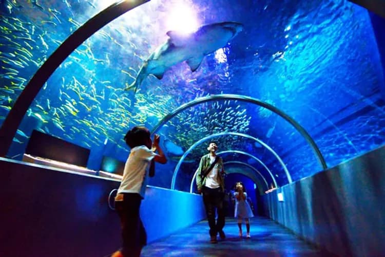 尼克斯海洋公園