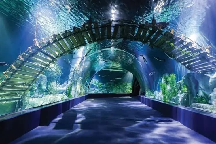 河內樂天水族館