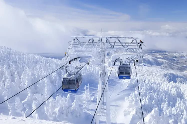 藏王樹冰纜車(冬季樹冰+雪盆體驗)