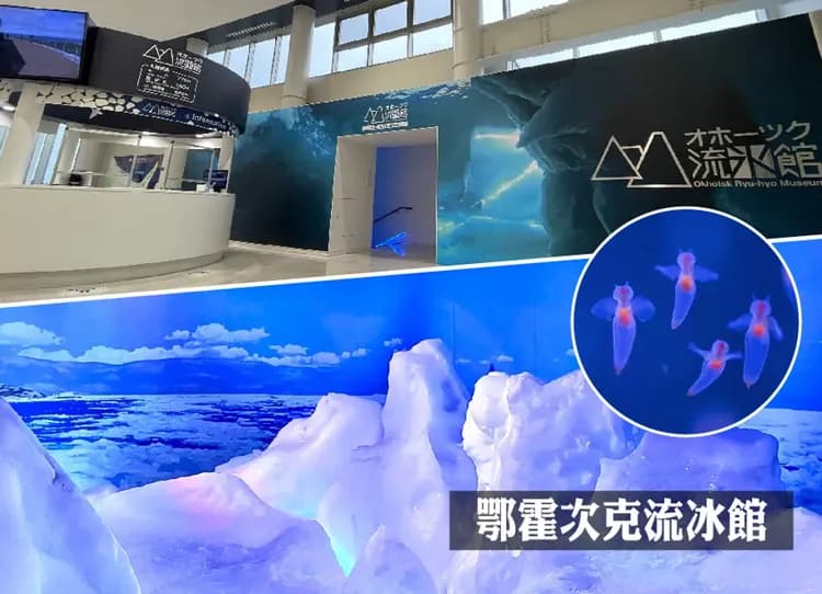 雪夢幻北海道破冰船5日.阿寒湖雪上活動.冰上釣魚.流冰精靈.層雲峽冰瀑祭.狐狸村.白色燈節.三大螃蟹吃到飽(入住三溫泉)-5