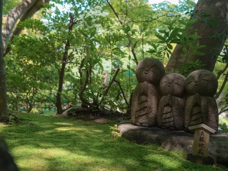 【橫濱港接送】郵輪岸上觀光一日遊 6小時|可送回橫濱市區/橫濱港或東京都內飯店-5