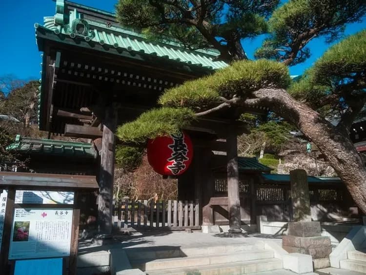 【橫濱港接送】郵輪岸上觀光一日遊 6小時|可送回橫濱市區/橫濱港或東京都內飯店-6