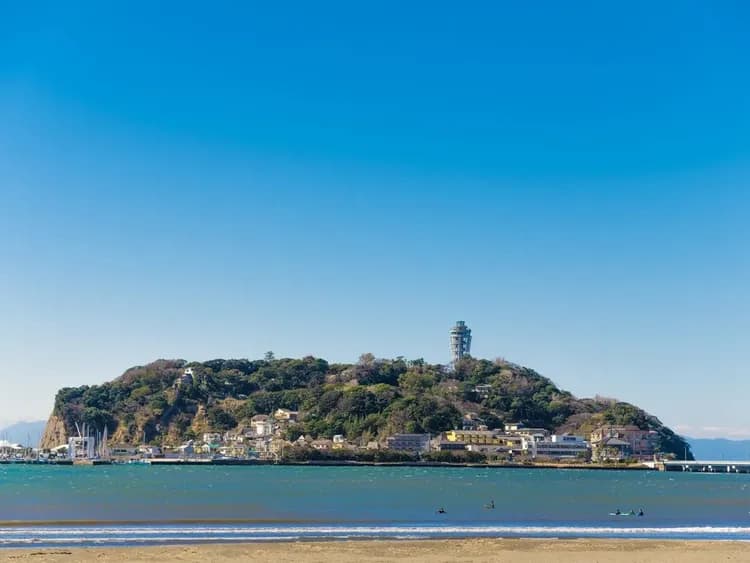 【橫濱港接送】郵輪岸上觀光一日遊 6小時|可送回橫濱市區/橫濱港或東京都內飯店-8