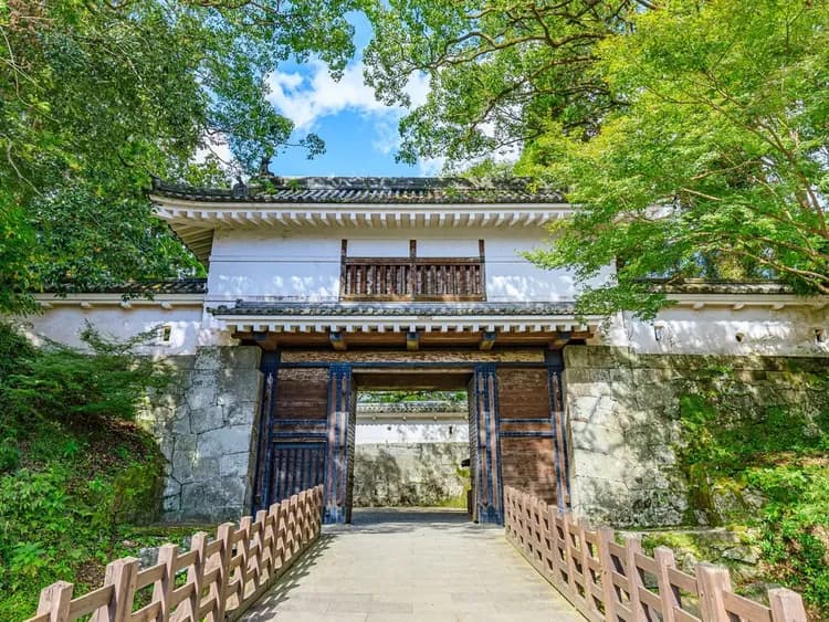 【宮崎油津港出發】岸上觀光5~8小時包車自由行|宮崎觀光一日遊推薦-7