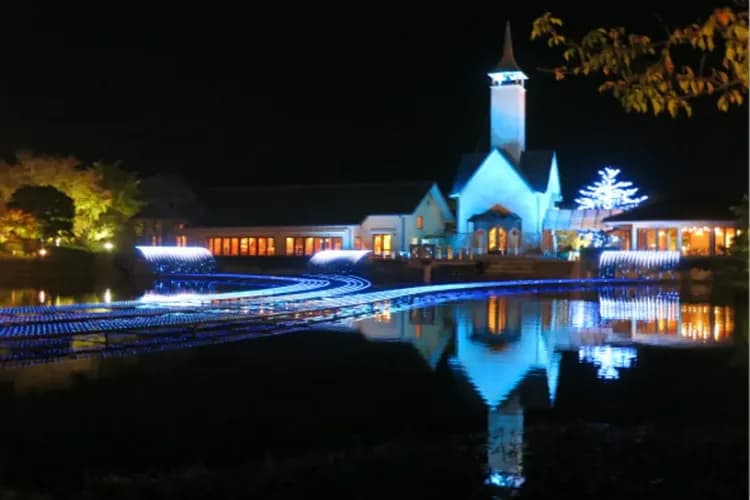 冬華競演彩燈季-名花之里