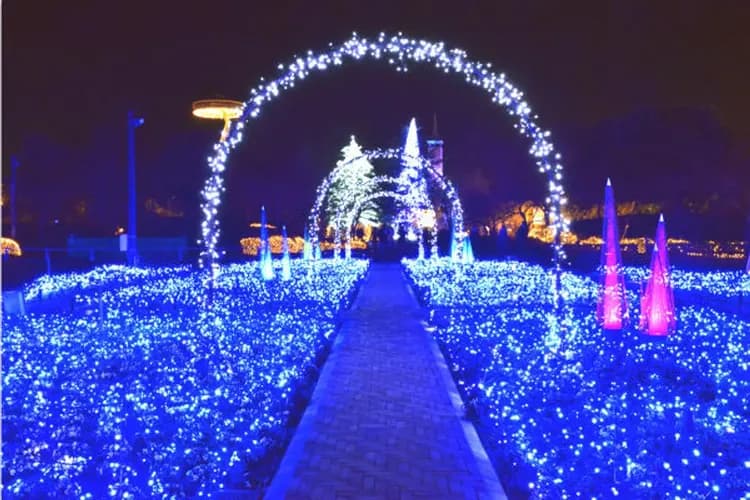 冬華競演彩燈季-名花之里