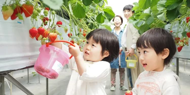 雪盆體驗(雪盆+堆雪人)