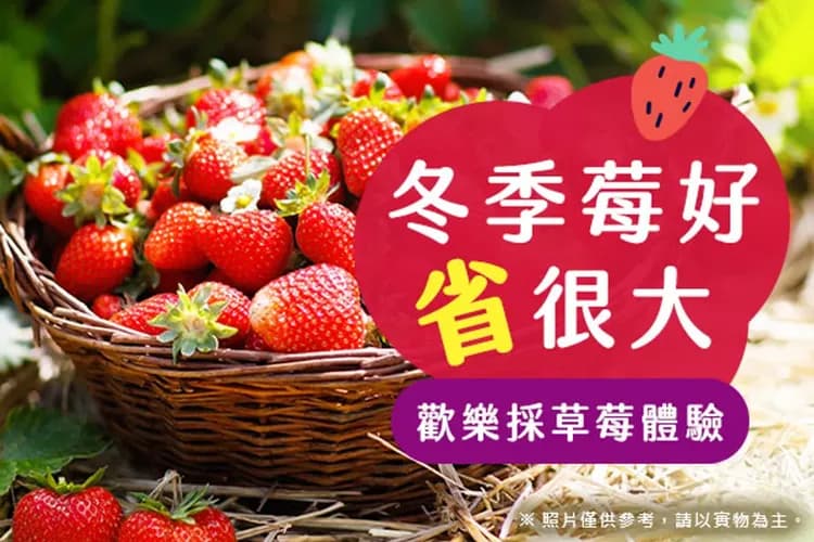 雪盆體驗(雪盆+堆雪人)