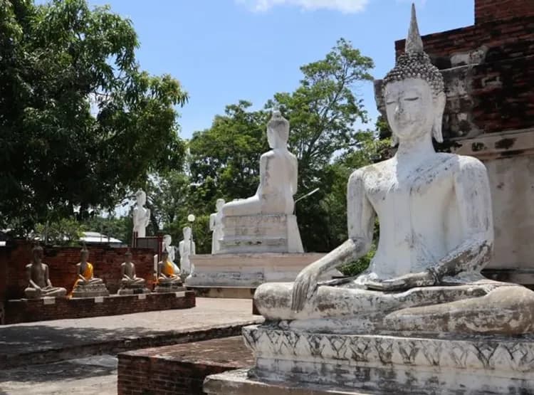泰愛曼芭~大城風情漫遊、全明星夜郵輪、曼谷自由活動、兩晚五星飯店五日-6