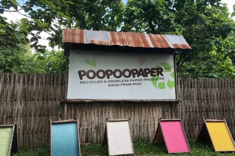 大象環保紙世界