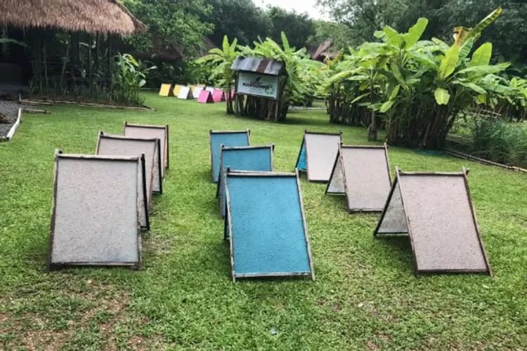 大象環保紙世界