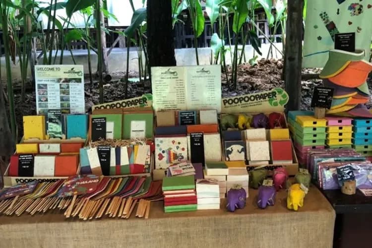 大象環保紙世界