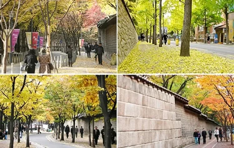 德壽宮(石牆路+韓服體驗)